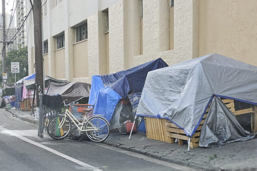 Unsheltered homeless occupants on Oahu streets