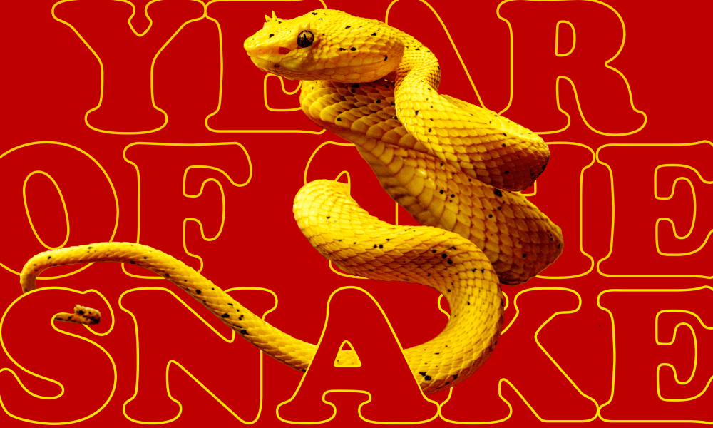 Year of the Snake