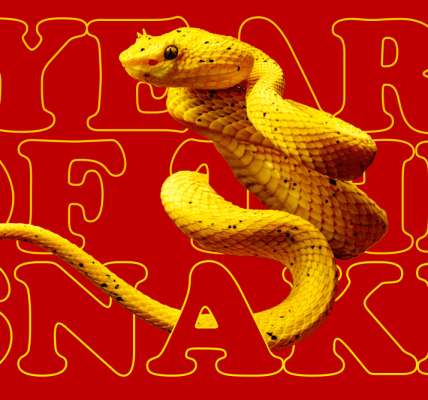 Year of the Snake