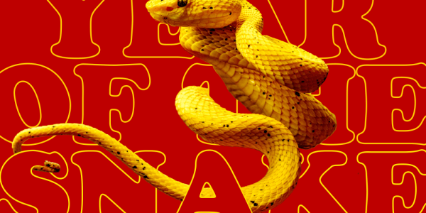 Year of the Snake