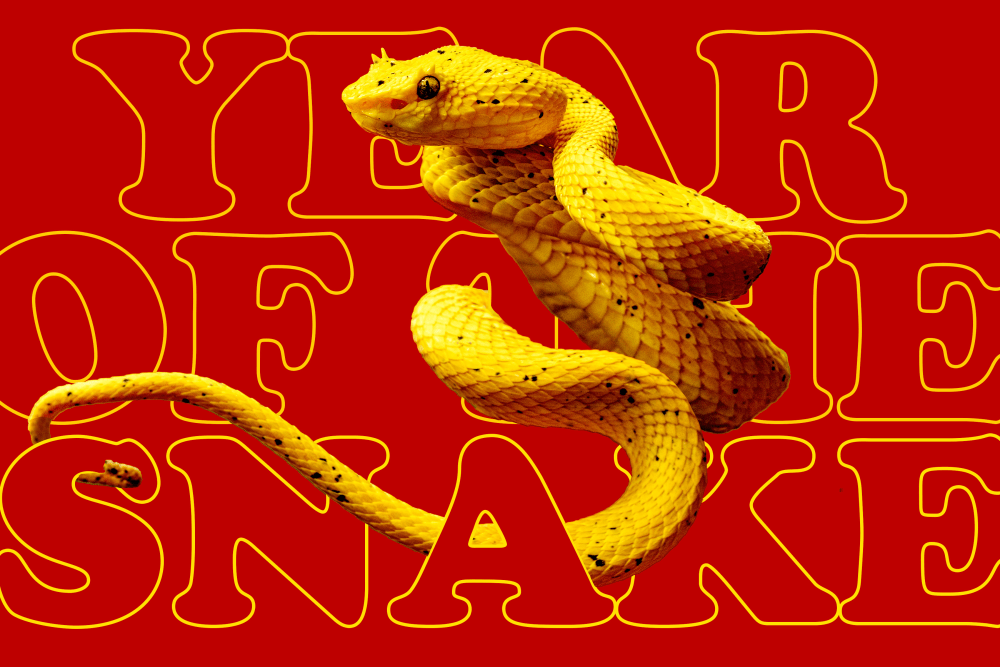 Lunar New Year 2025 Year of the Snake GMU Digital Design News