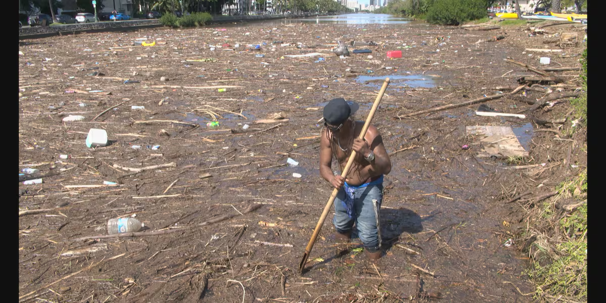 Honolulu resident "Smurf" cleaning the Ala Wai