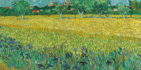 Van Gogh's painting depicting a field of Irises