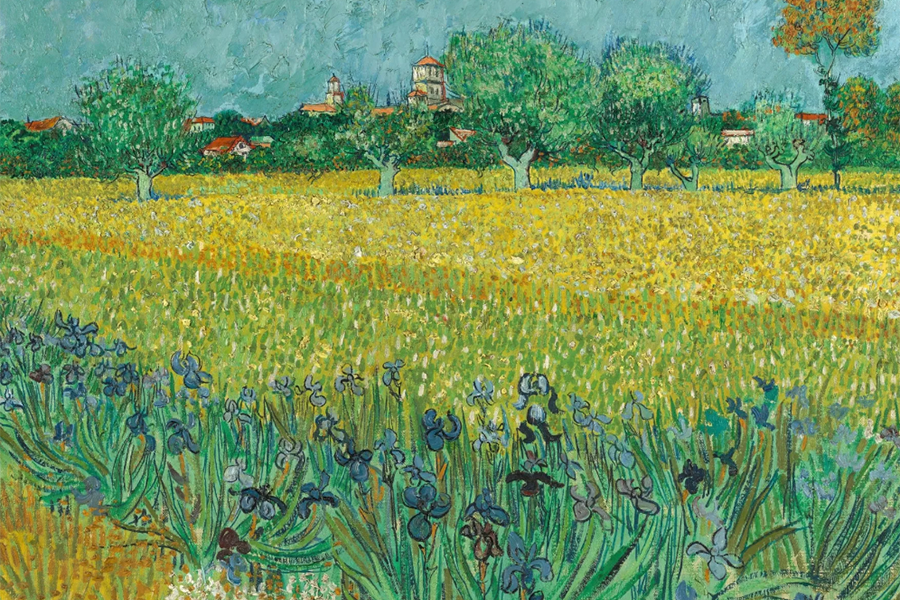 Van Gogh's painting depicting a field of Irises