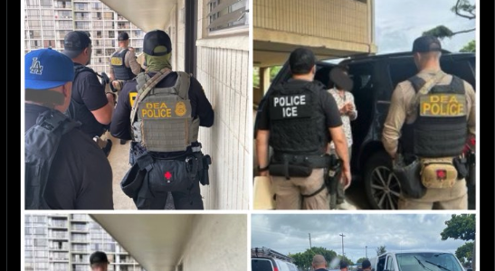 Federal Agents making immigration arrests in Honolulu