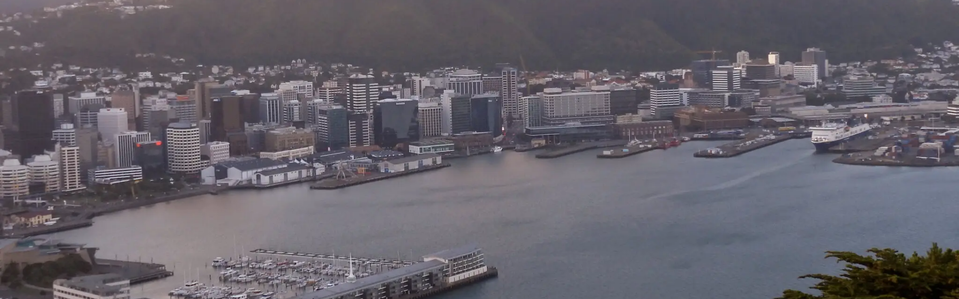 picture of wellington, the capital of New Zealand