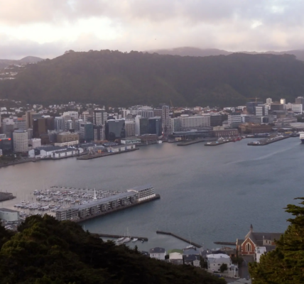 picture of wellington, the capital of New Zealand