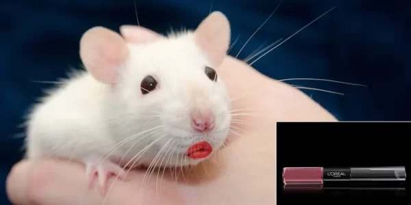 rat with that loreal lipstick