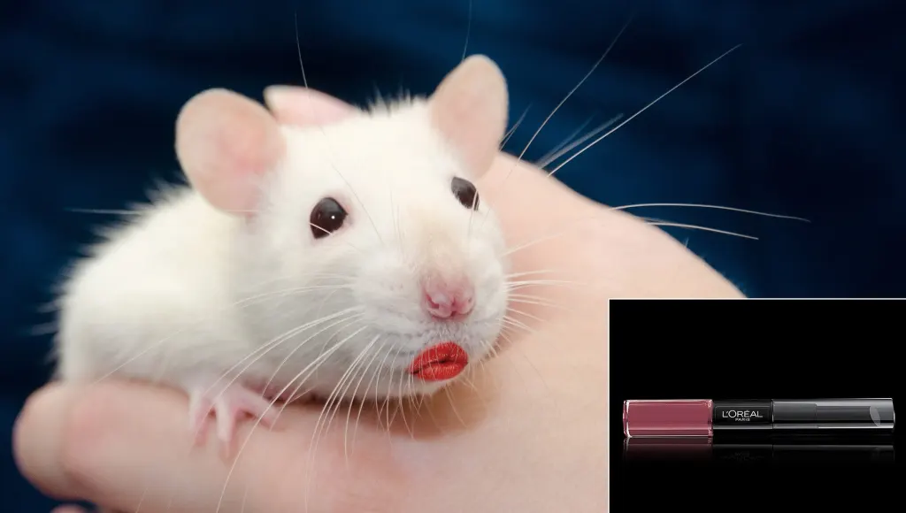 rat with that loreal lipstick