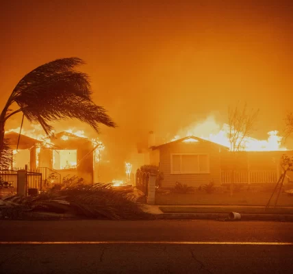 Los Angeles Fires