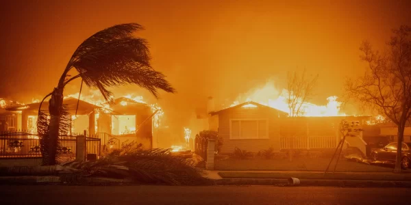 Los Angeles Fires