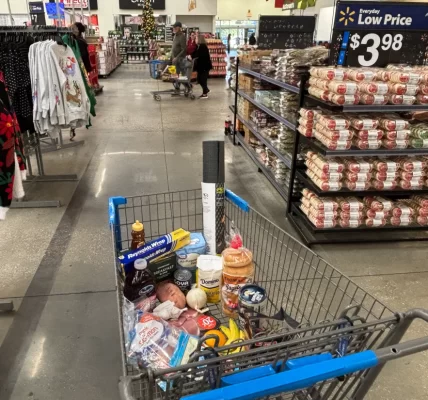 This photo features a shopping cart in a grocery store. The shopping cart is filled with various products.