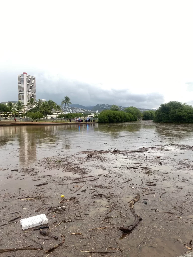 Ala Wai filled with trash and debris due to heavy rainfall